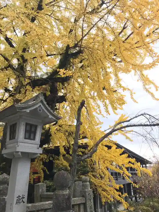 金刀比羅宮の自然