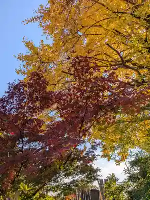 仙寿院(東京都)