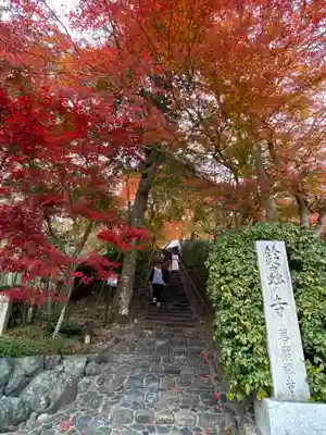 華厳寺(鈴虫寺)(京都府)