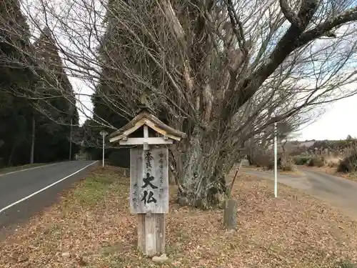 奈良の大仏のその他建物