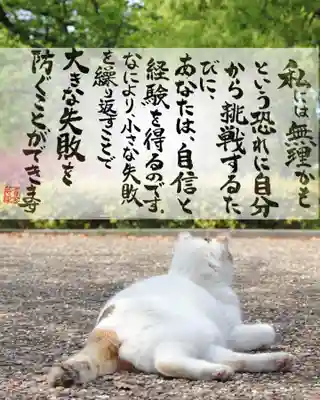 専念寺(大阪府)