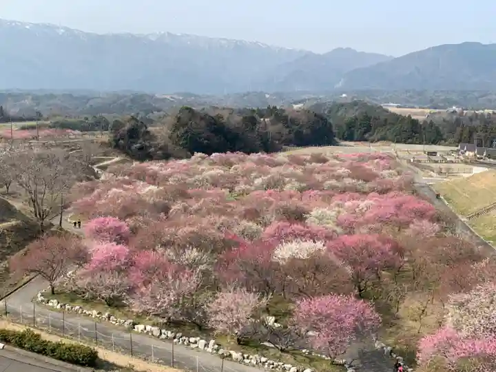 金井神社(三重県)