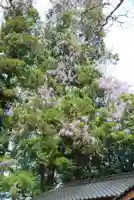 出雲神社(山口県)