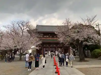 池上本門寺の山門・神門