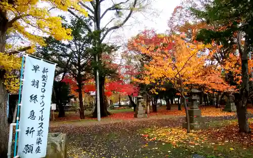 錦山天満宮の自然