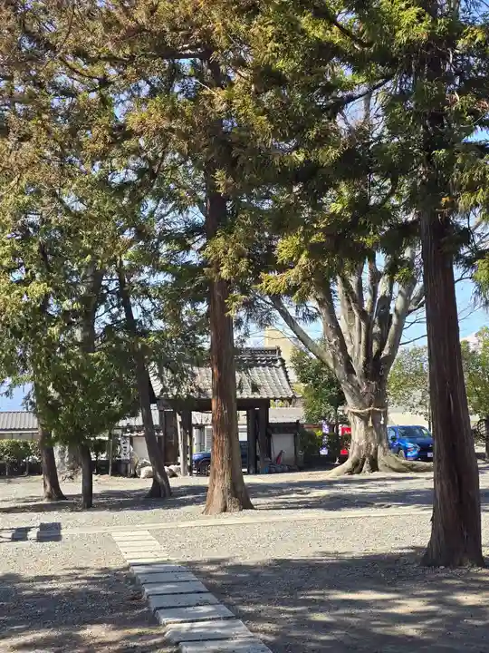 松本神社(長野県)