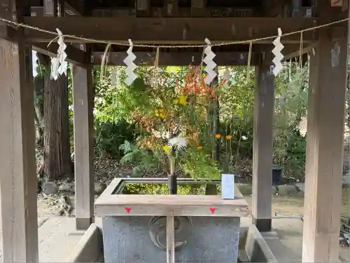 赤坂氷川神社(東京都)