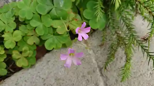 豆塚神社の自然