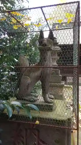 慈恵稲荷神社の狛犬