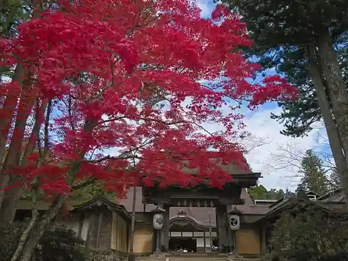 壇上伽藍の山門