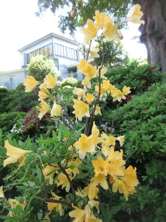 根津神社の自然