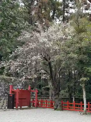 一之宮貫前神社(群馬県)