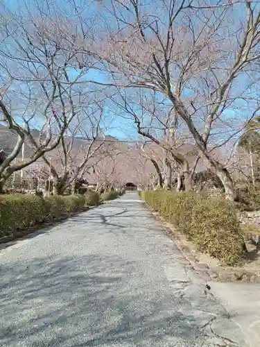 西教寺の建物その他