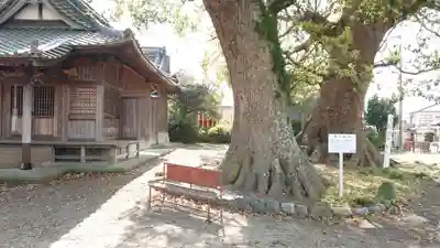 稲荷神社(村松原)の自然