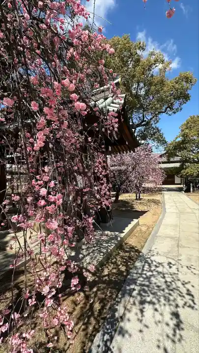 屯倉神社(大阪府)