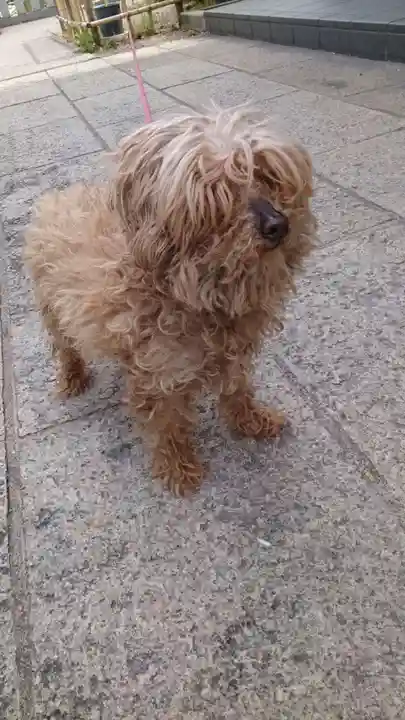 胡録神社(東京都)