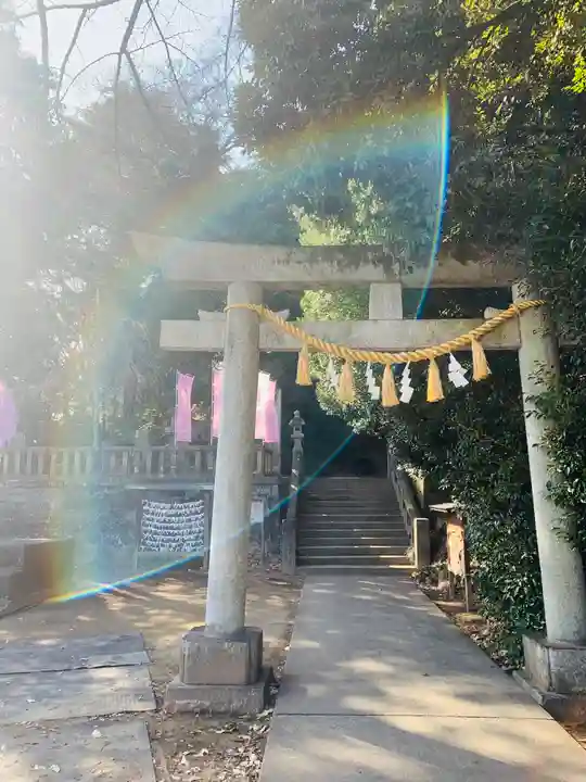 前玉神社(埼玉県)