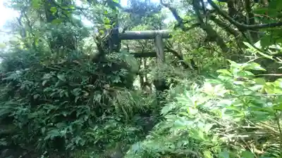浅間神社の鳥居