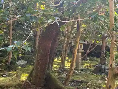 霊鑑寺門跡(京都府)
