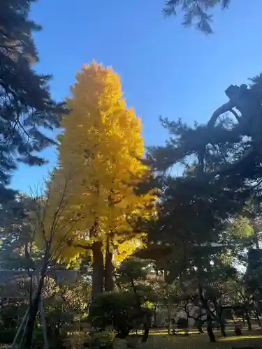 三寳寺(東京都)