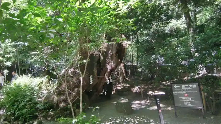 來宮神社(静岡県)