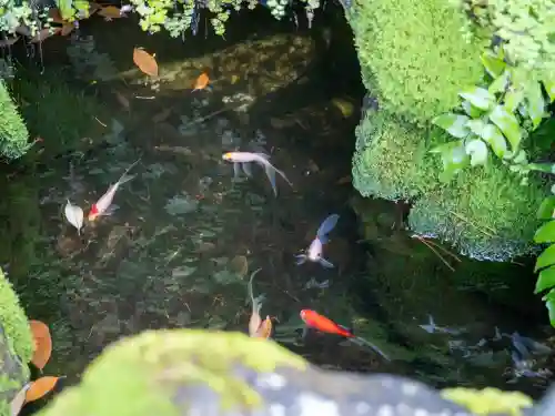 神田神社（神田明神）の{uncategorized: "未分類", other: "その他", undefined: "問題あり", building: "その他建物", grave: "お墓", sacred_gate: "鳥居", guardian: "狛犬", statue: "像", buddha: "仏像", history: "歴史", nature: "自然", garden: "庭園", animal: "動物", pagoda: "塔", temizu: "手水舎", mountain_gate: "山門・神門", sanctuary: "本殿・本堂", subordinate: "末社・摂社", art: "芸術", scenery: "景色", jizo: "地蔵", ema: "絵馬", goshuin: "御朱印", omikuji: "おみくじ", items: "授与品その他", amulet: "お守り", goshuincho: "御朱印帳", eats: "食事", festival: "お祭り", votive_dance: "神楽", shichigosan: "七五三参", wedding: "結婚式", experience: "体験その他", initially: "初詣", around: "周辺", anti_infection: "感染症対策"}