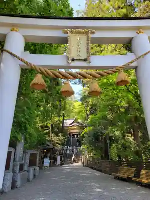宝登山神社(埼玉県)