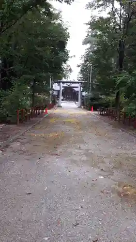 上富良野神社の鳥居