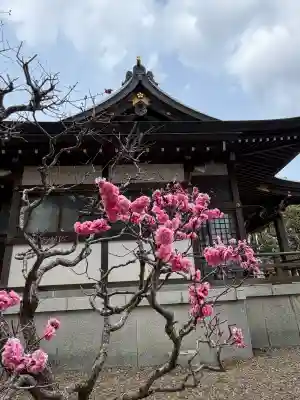 水海道天満宮の{uncategorized: "未分類", other: "その他", undefined: "問題あり", building: "その他建物", grave: "お墓", sacred_gate: "鳥居", guardian: "狛犬", statue: "像", buddha: "仏像", history: "歴史", nature: "自然", garden: "庭園", animal: "動物", pagoda: "塔", temizu: "手水舎", mountain_gate: "山門・神門", sanctuary: "本殿・本堂", subordinate: "末社・摂社", art: "芸術", scenery: "景色", jizo: "地蔵", ema: "絵馬", goshuin: "御朱印", omikuji: "おみくじ", items: "授与品その他", amulet: "お守り", goshuincho: "御朱印帳", eats: "食事", festival: "お祭り", votive_dance: "神楽", shichigosan: "七五三参", wedding: "結婚式", experience: "体験その他", initially: "初詣", around: "周辺", anti_infection: "感染症対策"}