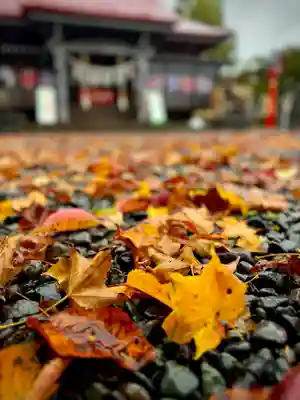 伊達神社(北海道)