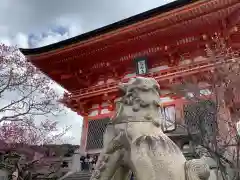 清水寺(京都府)