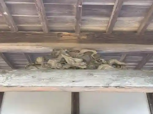 音教寺の本殿・本堂