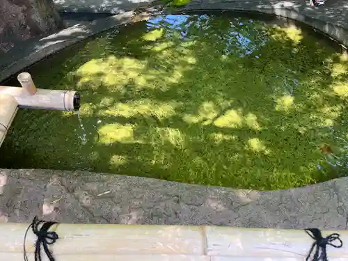 安井金比羅宮(京都府)