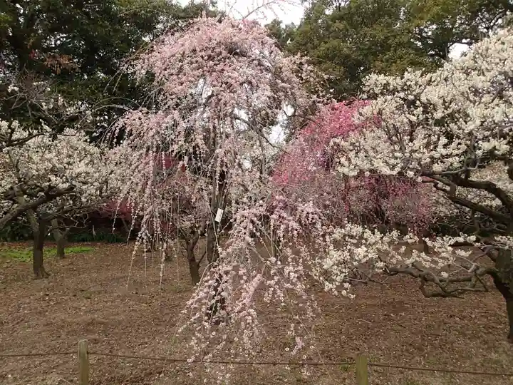 道明寺天満宮の庭園
