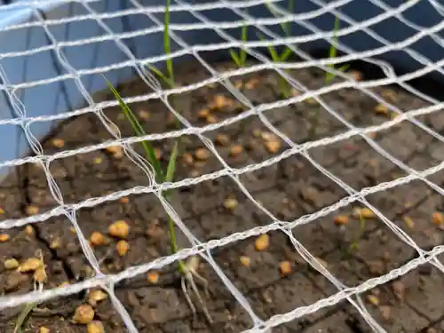 總社 和田八幡宮(福井県)