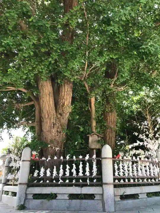 二日市八幡宮(福岡県)