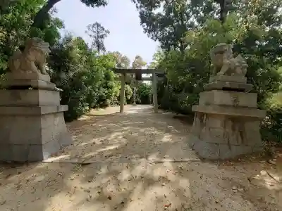 交野天神社の{uncategorized: "未分類", other: "その他", undefined: "問題あり", building: "その他建物", grave: "お墓", sacred_gate: "鳥居", guardian: "狛犬", statue: "像", buddha: "仏像", history: "歴史", nature: "自然", garden: "庭園", animal: "動物", pagoda: "塔", temizu: "手水舎", mountain_gate: "山門・神門", sanctuary: "本殿・本堂", subordinate: "末社・摂社", art: "芸術", scenery: "景色", jizo: "地蔵", ema: "絵馬", goshuin: "御朱印", omikuji: "おみくじ", items: "授与品その他", amulet: "お守り", goshuincho: "御朱印帳", eats: "食事", festival: "お祭り", votive_dance: "神楽", shichigosan: "七五三参", wedding: "結婚式", experience: "体験その他", initially: "初詣", around: "周辺", anti_infection: "感染症対策"}