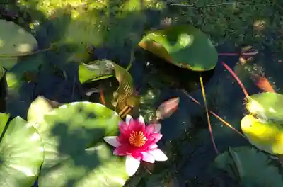唐津神社の自然
