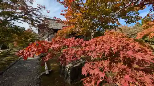 勧修寺(京都府)