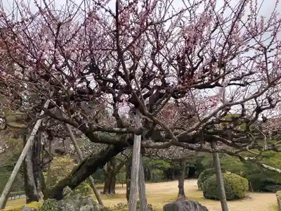 伊勢神宮内宮（皇大神宮）(三重県)