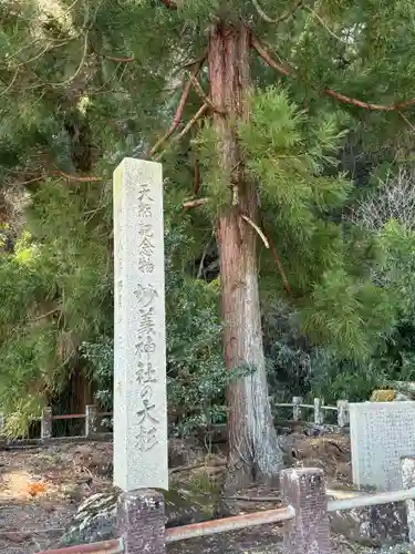 妙義神社(群馬県)
