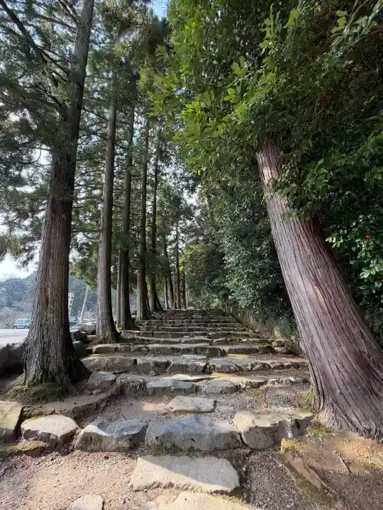 神魂神社の{uncategorized: "未分類", other: "その他", undefined: "問題あり", building: "その他建物", grave: "お墓", sacred_gate: "鳥居", guardian: "狛犬", statue: "像", buddha: "仏像", history: "歴史", nature: "自然", garden: "庭園", animal: "動物", pagoda: "塔", temizu: "手水舎", mountain_gate: "山門・神門", sanctuary: "本殿・本堂", subordinate: "末社・摂社", art: "芸術", scenery: "景色", jizo: "地蔵", ema: "絵馬", goshuin: "御朱印", omikuji: "おみくじ", items: "授与品その他", amulet: "お守り", goshuincho: "御朱印帳", eats: "食事", festival: "お祭り", votive_dance: "神楽", shichigosan: "七五三参", wedding: "結婚式", experience: "体験その他", initially: "初詣", around: "周辺", anti_infection: "感染症対策"}