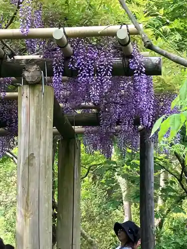春日大社(奈良県)