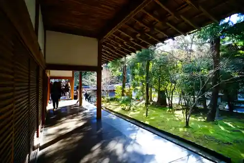 龍安寺の庭園