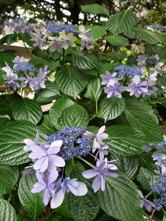 上目黒氷川神社(東京都)