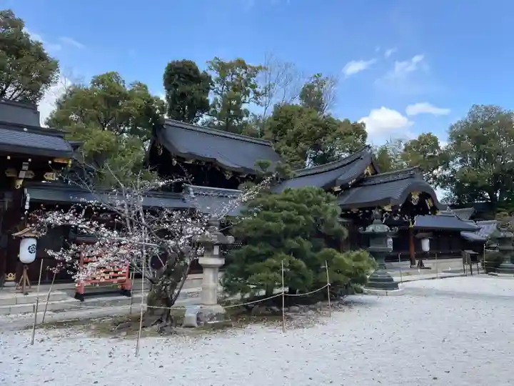 今宮神社(京都府)