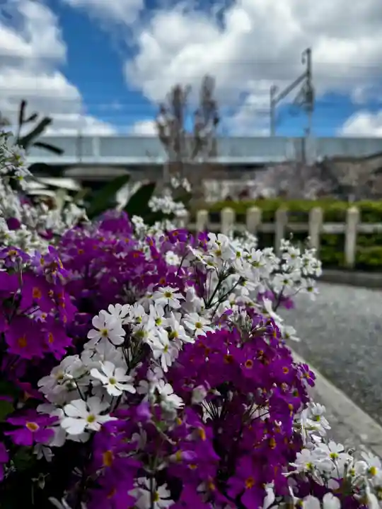 六孫王神社(京都府)