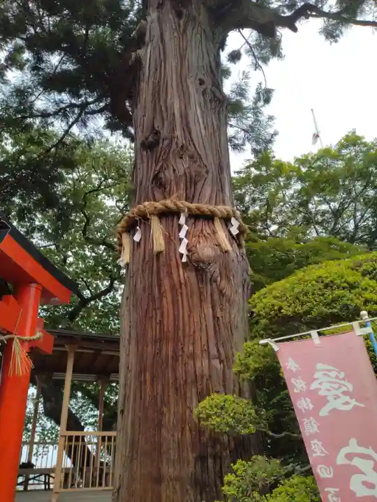 愛宕神社(宮城県)
