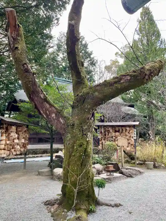 報徳二宮神社(神奈川県)