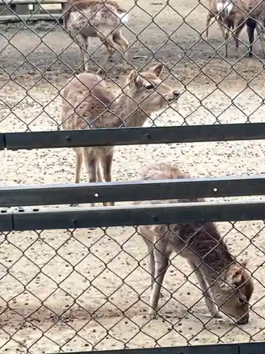鹿島神宮(茨城県)